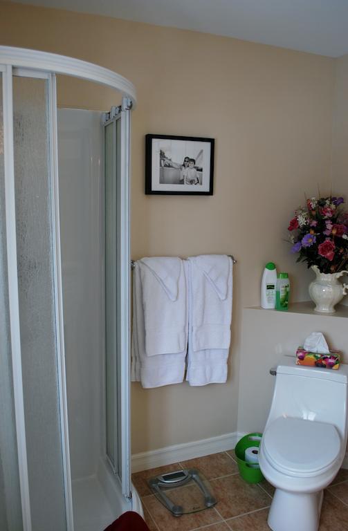 Au Gite De La Chute Boischatel Room photo